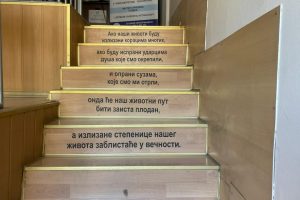 biblioteka 3